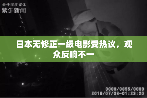 日本无修正一级电影受热议，观众反响不一
