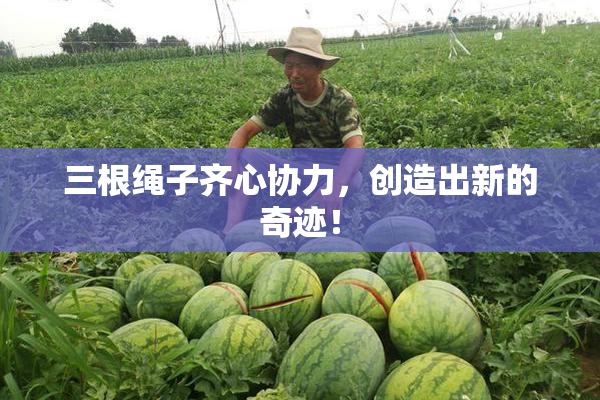 三根绳子齐心协力，创造出新的奇迹！