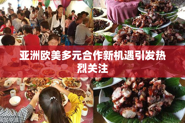 亚洲欧美多元合作新机遇引发热烈关注