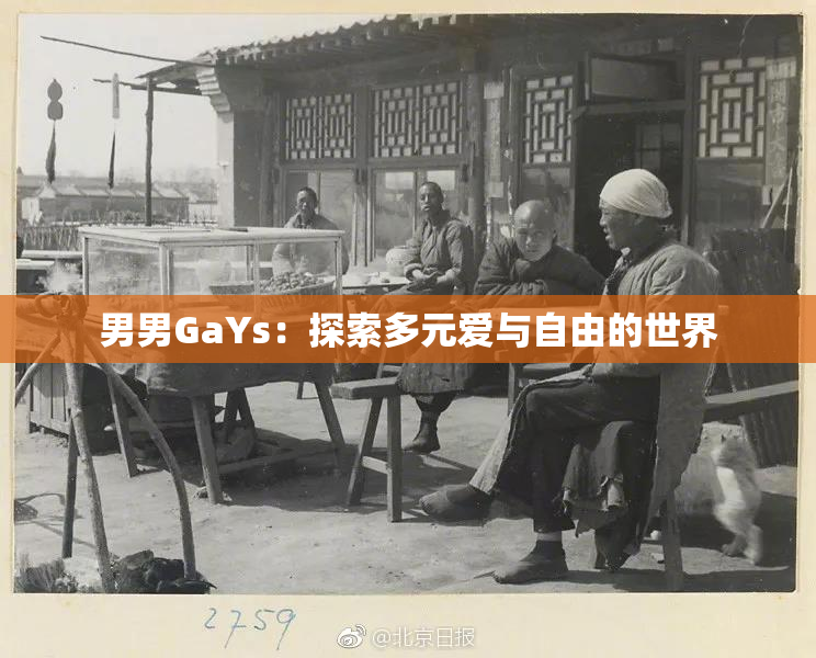 男男GaYs：探索多元爱与自由的世界