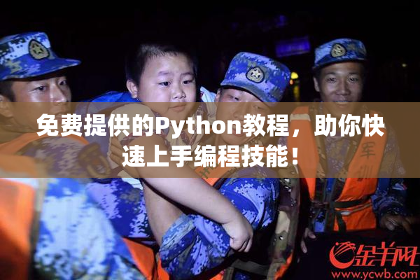 免费提供的Python教程，助你快速上手编程技能！