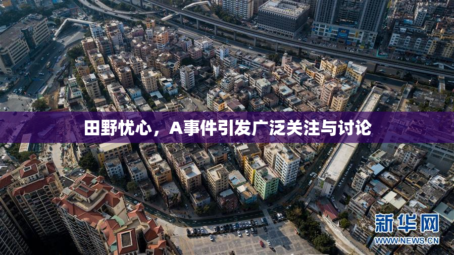 田野忧心，A事件引发广泛关注与讨论