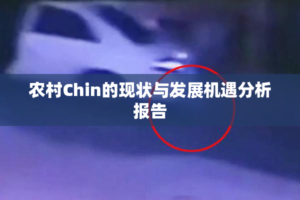 农村Chin的现状与发展机遇分析报告