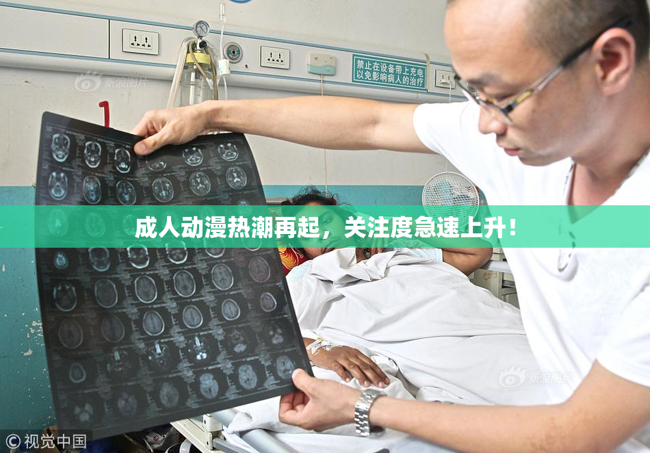 成人动漫热潮再起，关注度急速上升！