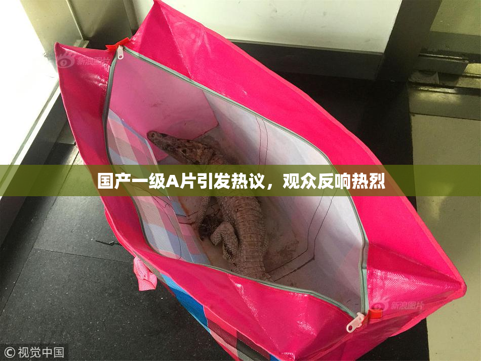 国产一级A片引发热议，观众反响热烈
