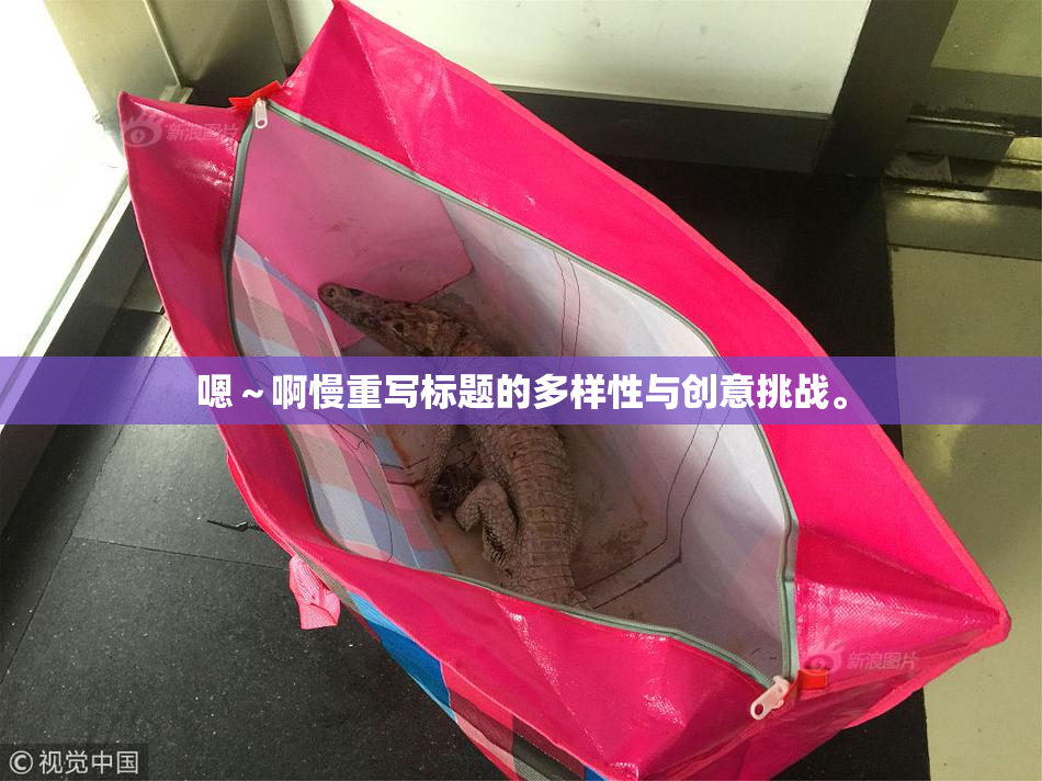 嗯～啊慢重写标题的多样性与创意挑战。