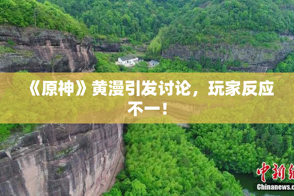 《原神》黄漫引发讨论，玩家反应不一！