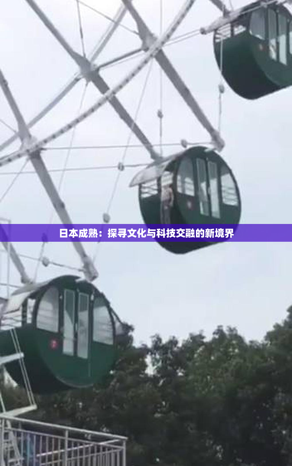 日本成熟：探寻文化与科技交融的新境界