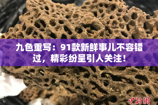 九色重写：91款新鲜事儿不容错过，精彩纷呈引人关注！