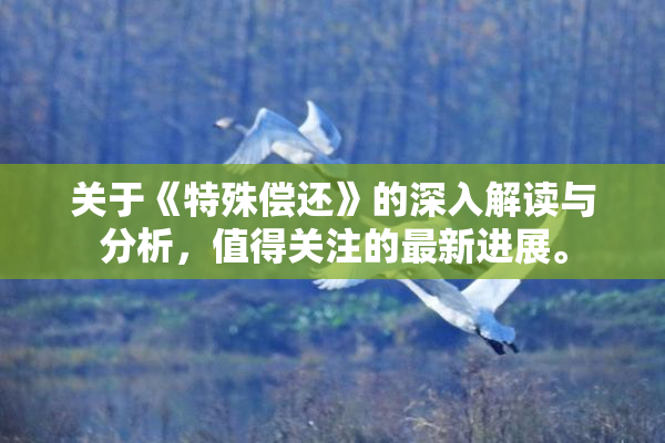 关于《特殊偿还》的深入解读与分析，值得关注的最新进展。