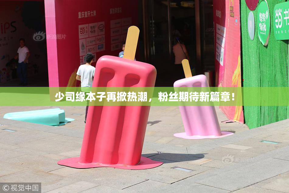 少司缘本子再掀热潮，粉丝期待新篇章！
