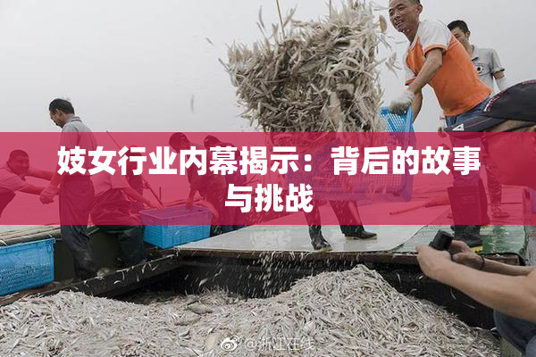 妓女行业内幕揭示：背后的故事与挑战