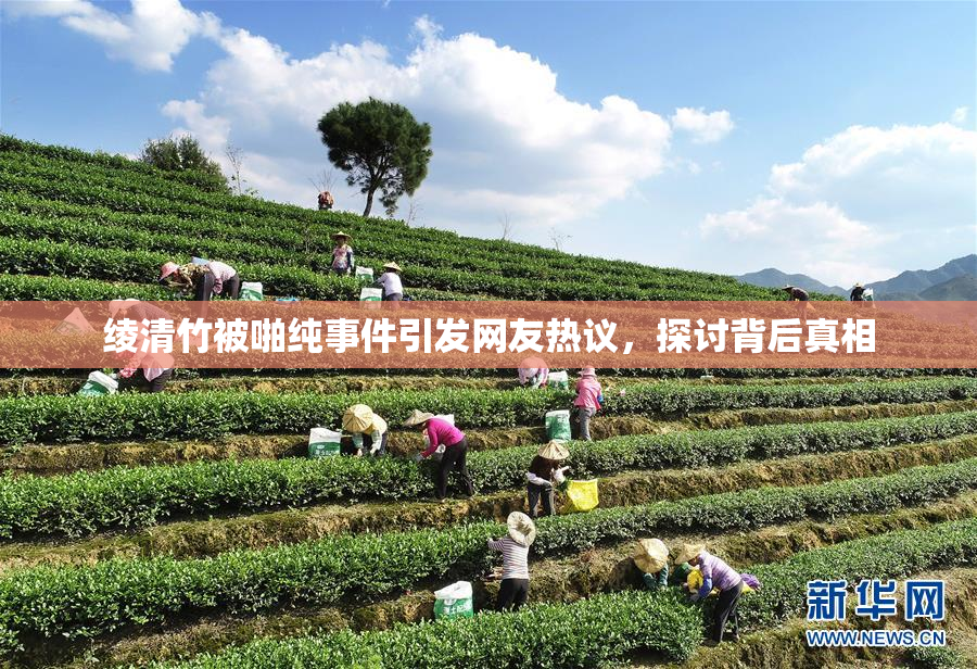 绫清竹被啪纯事件引发网友热议，探讨背后真相