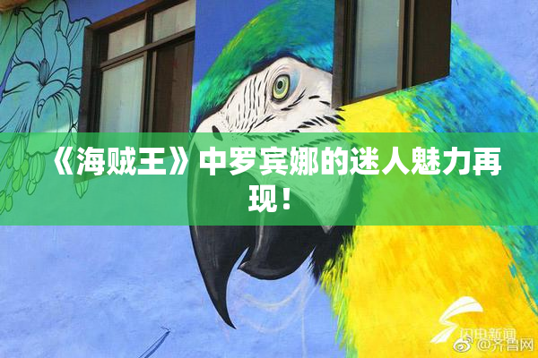 《海贼王》中罗宾娜的迷人魅力再现！