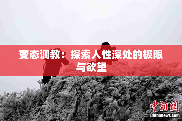 变态调教：探索人性深处的极限与欲望