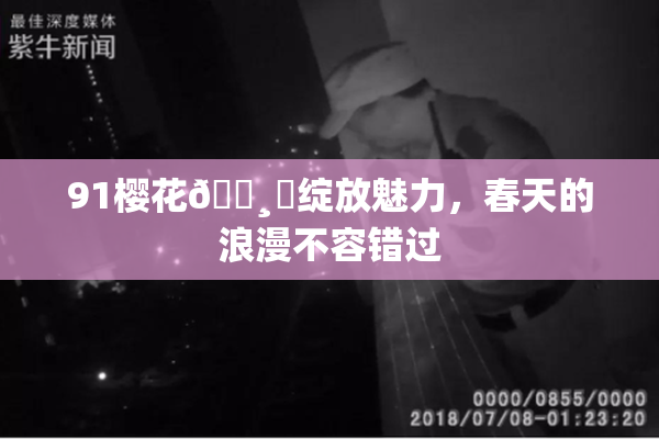 91樱花🌸‌绽放魅力，春天的浪漫不容错过