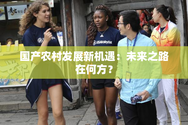 国产农村发展新机遇：未来之路在何方？