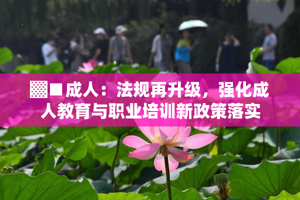 ▓■成人：法规再升级，强化成人教育与职业培训新政策落实