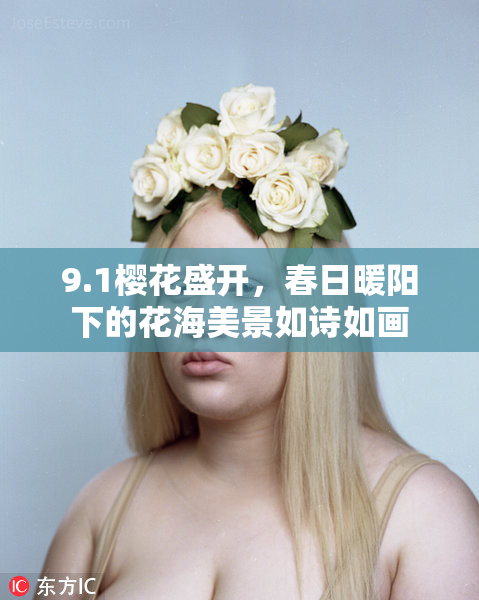 9.1樱花盛开，春日暖阳下的花海美景如诗如画
