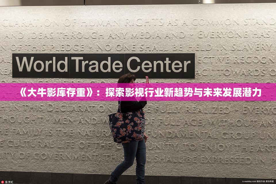 《大牛影库存重》：探索影视行业新趋势与未来发展潜力