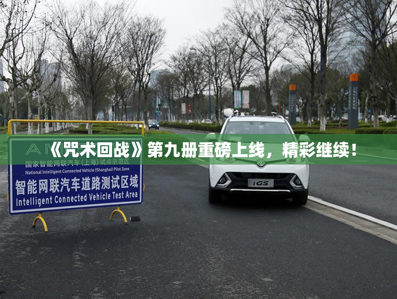 《咒术回战》第九册重磅上线，精彩继续！