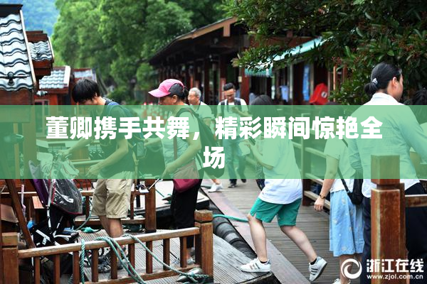 董卿携手共舞，精彩瞬间惊艳全场