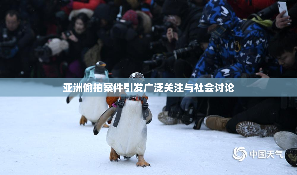 亚洲偷拍案件引发广泛关注与社会讨论