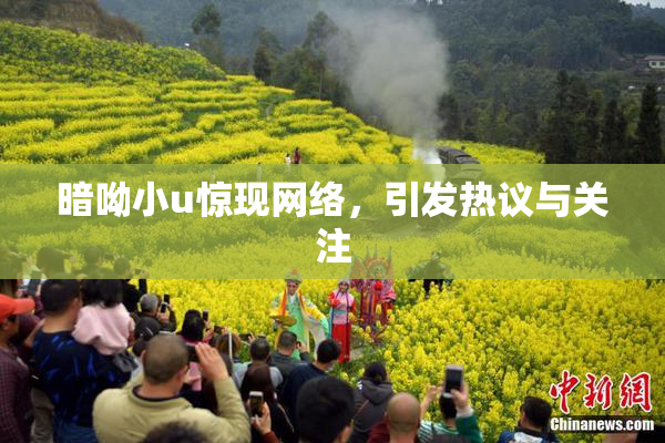 暗呦小u惊现网络，引发热议与关注