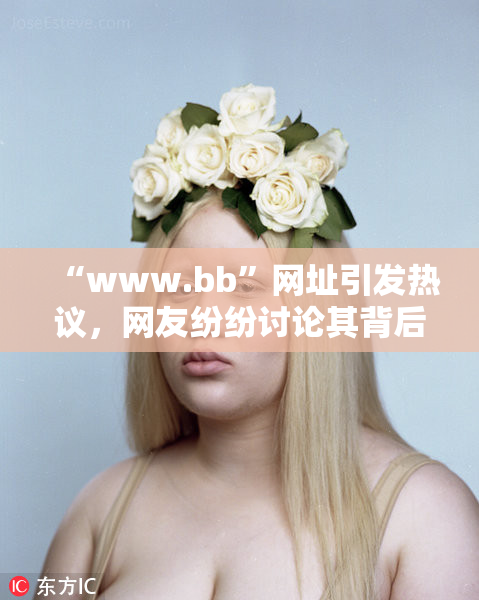 “www.bb”网址引发热议，网友纷纷讨论其背后意义