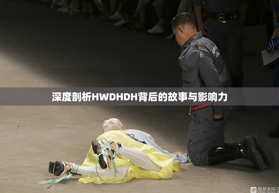 深度剖析HWDHDH背后的故事与影响力