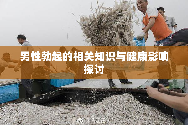 男性勃起的相关知识与健康影响探讨