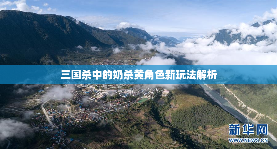 三国杀中的奶杀黄角色新玩法解析
