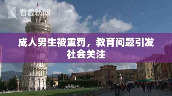 成人男生被重罚，教育问题引发社会关注