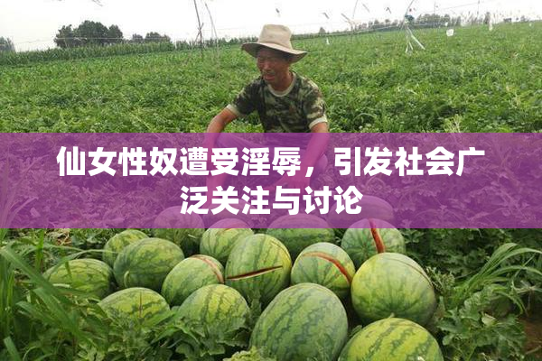 仙女性奴遭受淫辱，引发社会广泛关注与讨论