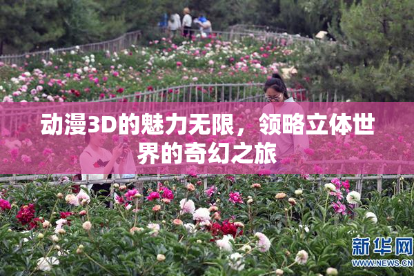 动漫3D的魅力无限，领略立体世界的奇幻之旅