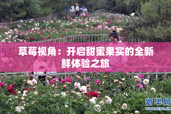 草莓视角：开启甜蜜果实的全新鲜体验之旅