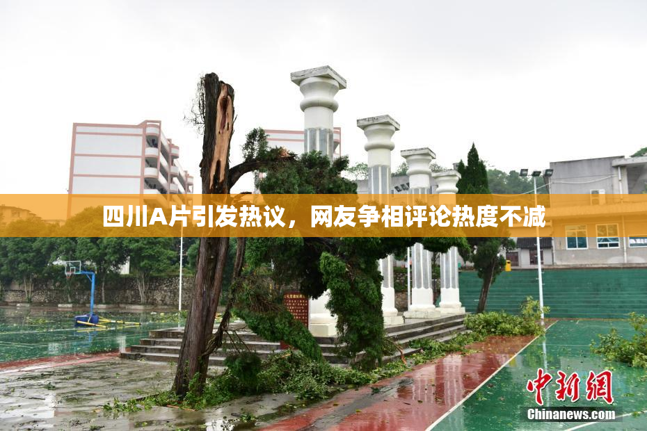 四川A片引发热议，网友争相评论热度不减