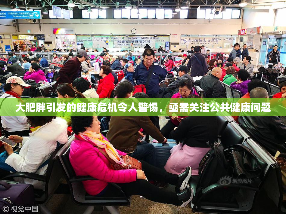 大肥胖引发的健康危机令人警惕，亟需关注公共健康问题