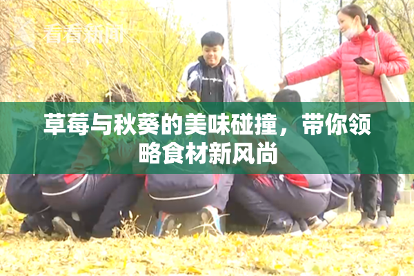 草莓与秋葵的美味碰撞，带你领略食材新风尚