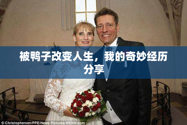 被鸭子改变人生，我的奇妙经历分享