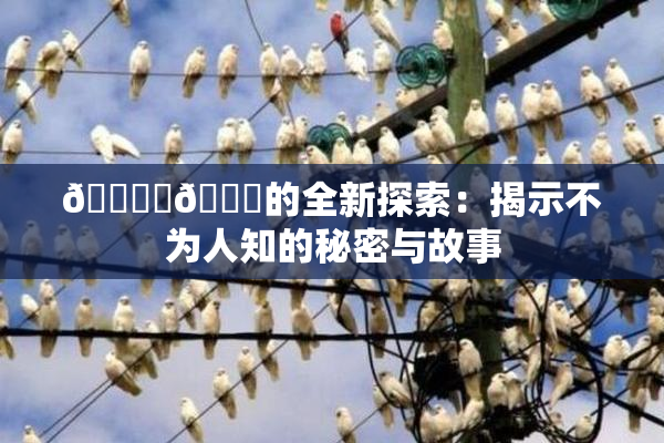 🔞‌🍌的全新探索：揭示不为人知的秘密与故事