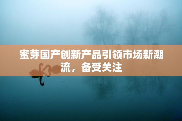 蜜芽国产创新产品引领市场新潮流，备受关注