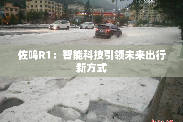 佐鸣R1：智能科技引领未来出行新方式
