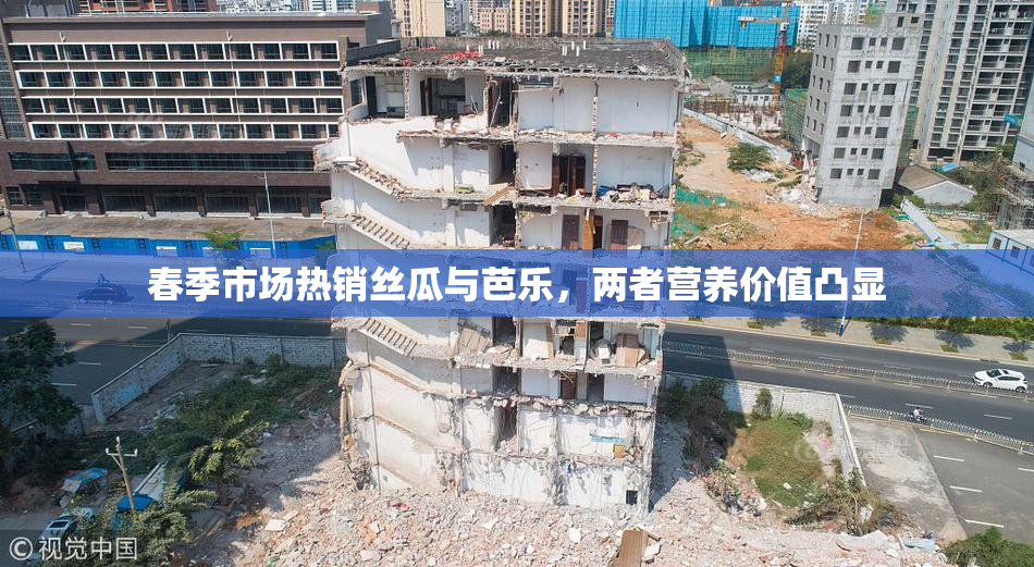 春季市场热销丝瓜与芭乐，两者营养价值凸显