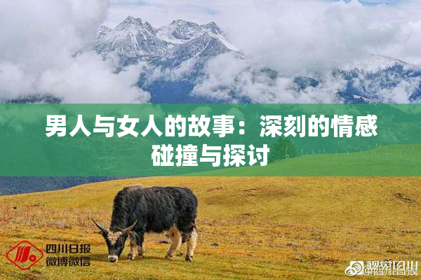 男人与女人的故事：深刻的情感碰撞与探讨