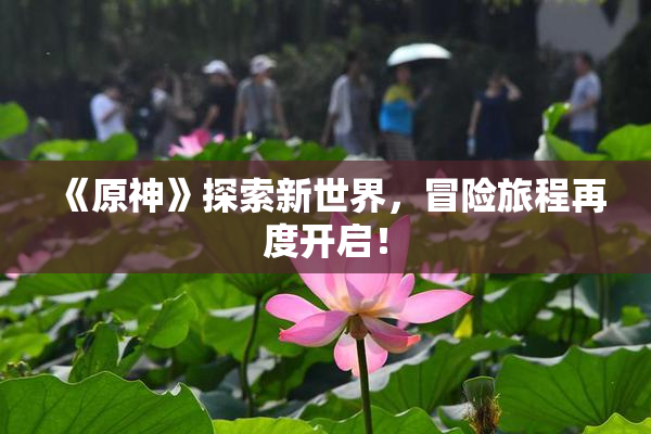 《原神》探索新世界，冒险旅程再度开启！