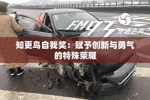 知更鸟自我奖：赋予创新与勇气的特殊荣耀