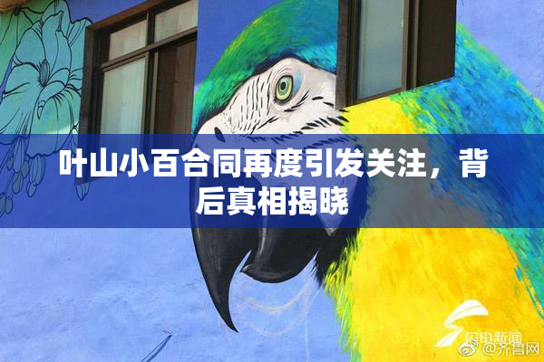 叶山小百合同再度引发关注，背后真相揭晓