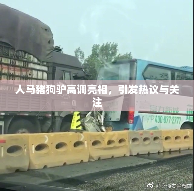 人马猪狗驴高调亮相，引发热议与关注