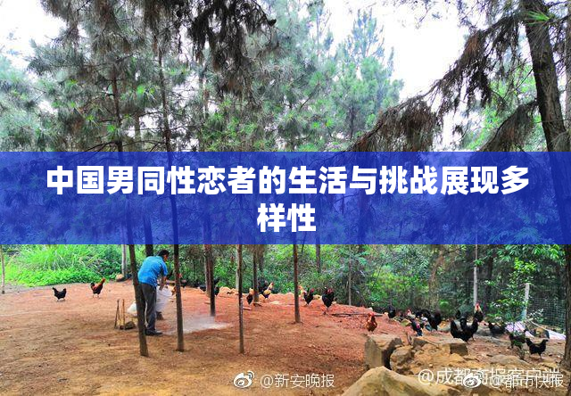 中国男同性恋者的生活与挑战展现多样性